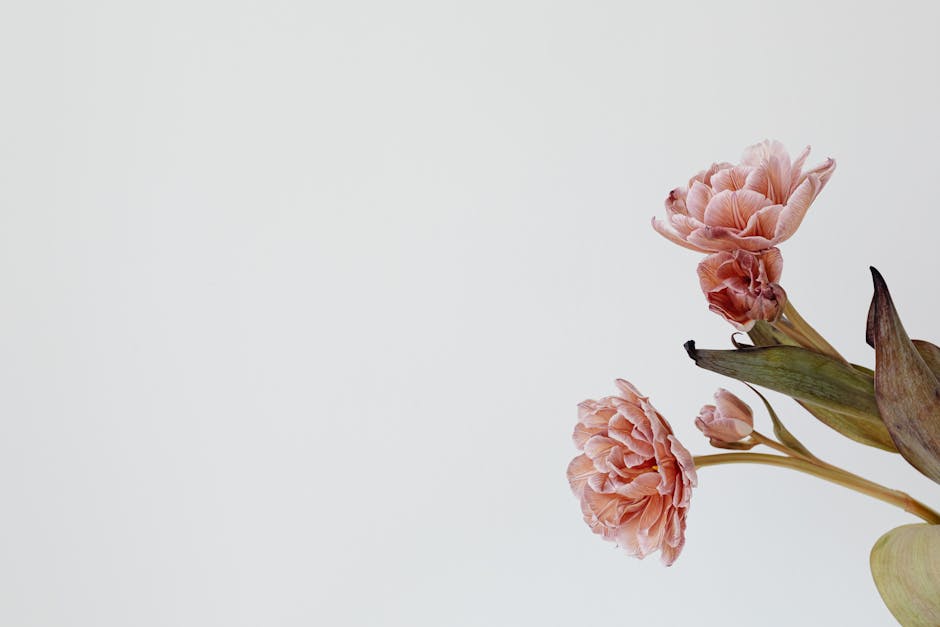 5 Simple Steps to Achieve Work-Life Harmony