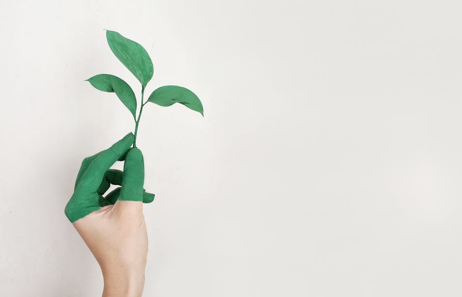 5 Simple Steps to Achieve Work-Life Harmony