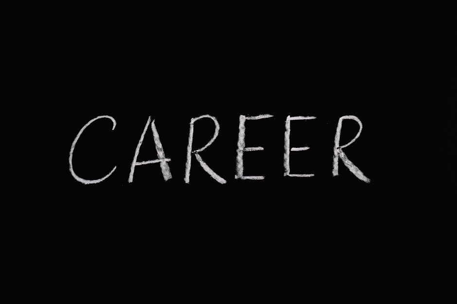 Skills to Learn for Freelance Success